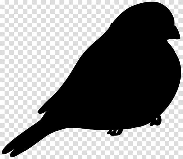 Bird Silhouette, Beak, American Sparrows, Black M, Blackbird, Perching Bird, Blackandwhite transparent background PNG clipart