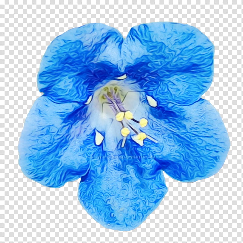 blue flower petal cobalt blue plant, Watercolor, Paint, Wet Ink, Flowering Plant, Morning Glory, Electric Blue, Iris transparent background PNG clipart