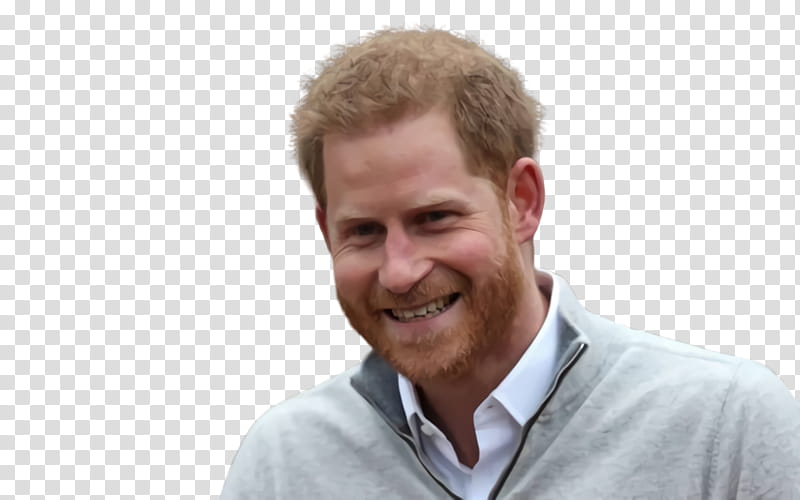 Cartoon Castle, Prince Harry, Wedding Of Prince Harry And Meghan Markle, Duke Of Sussex, Windsor Castle, Frogmore Cottage, Infant, Succession To The British Throne transparent background PNG clipart