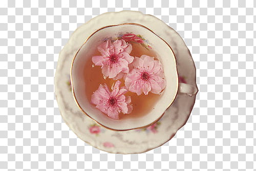 , three pink flowers on liquid-filled white ceramic cup transparent background PNG clipart