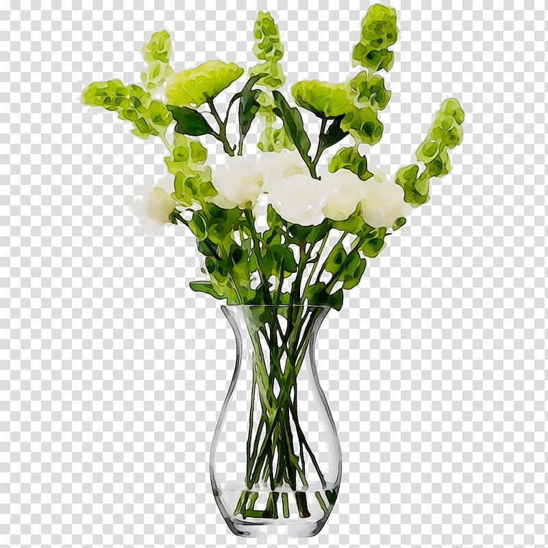 Clear Background Flower, Vase, Lsa International Flower Vase, Glass, Cylinder Vase, Clear Glass Vase, Flowers In Vase, Plant transparent background PNG clipart