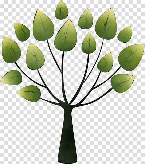 Design Tree Schopp Nutrition and Chiropractic Clinic Alamy, Watercolor, Paint, Wet Ink, Leaf, Green, Plant, Flower transparent background PNG clipart