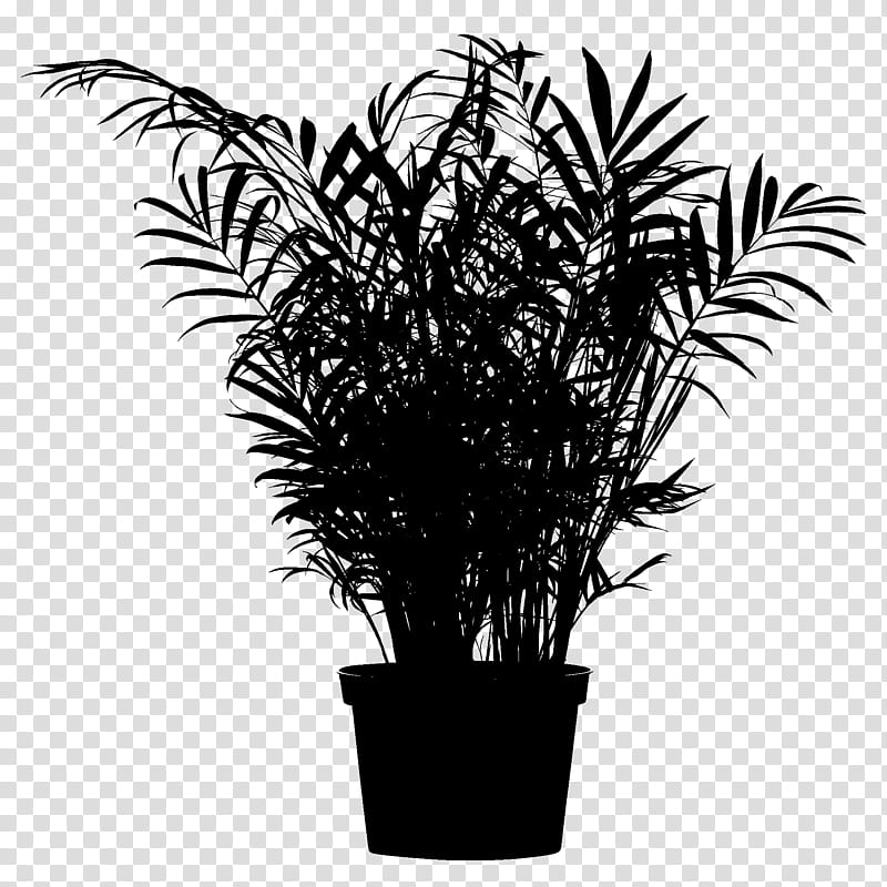Palm Tree, Chamaedorea Elegans, Plants, Palm Trees, Houseplant, Interior Design Services, Flowerpot, Ornamental Plant transparent background PNG clipart
