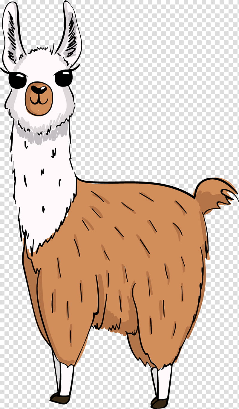 Llama, Alpaca, Camelid, Cartoon, Beak, Live, Terrestrial Animal, Snout  transparent background PNG clipart