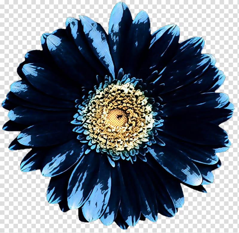 Flowers, Pop Art, Retro, Vintage, Transvaal Daisy, Cut Flowers, Chrysanthemum, Cobalt Blue transparent background PNG clipart