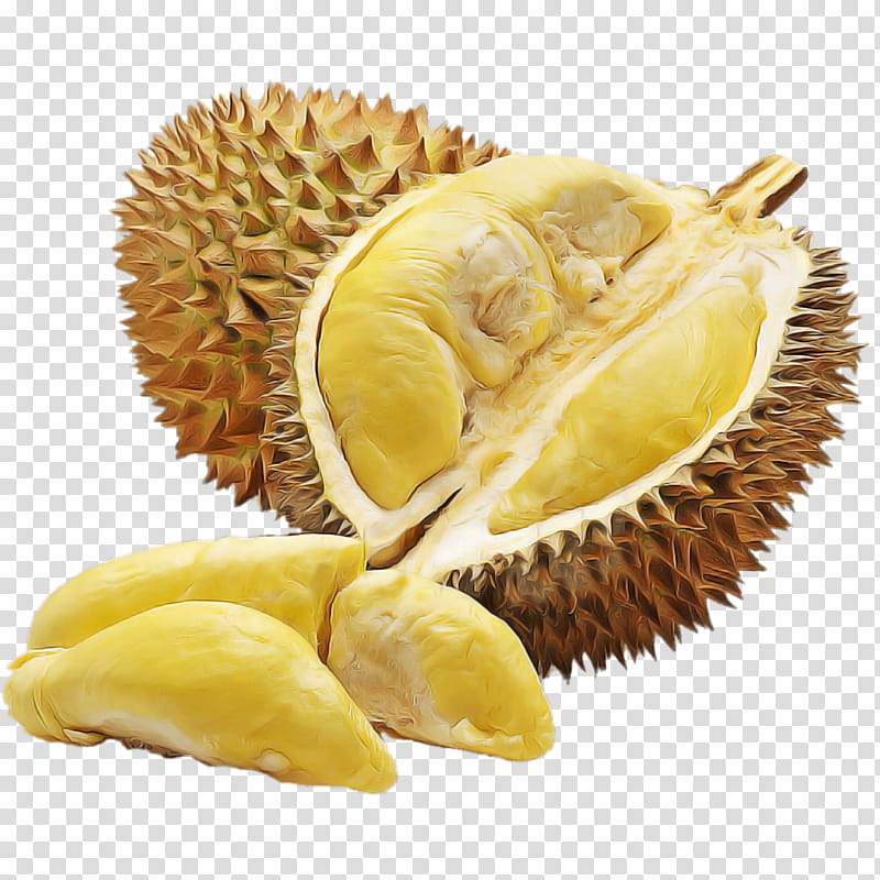 durian fruit food cempedak ingredient, Plant, Artocarpus, Artocarpus Odoratissimus, Mulberry Family transparent background PNG clipart
