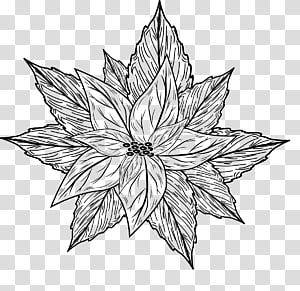 Christmas brushes 1, black flower illustration transparent background PNG clipart thumbnail