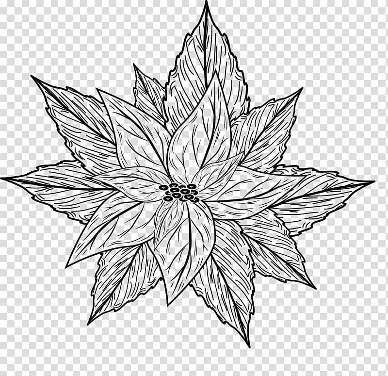 Christmas brushes , black flower illustration transparent background PNG clipart