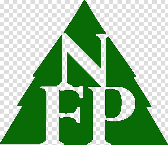 Green Leaf Logo, Cedar Forest, Wood, Ceiling, Triangle, Fir, Douglas Fir, Nutmeg transparent background PNG clipart