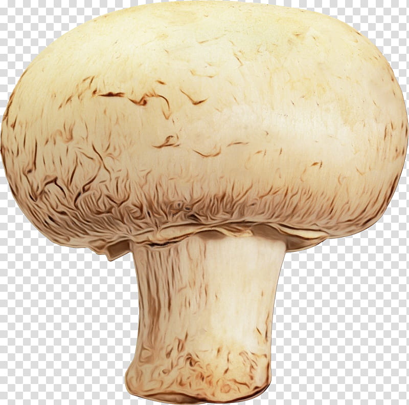 Mushroom, Common Mushroom, Pleurotus Eryngii, Agaricus, Agaricaceae, Champignon Mushroom, Agaricomycetes, Shiitake transparent background PNG clipart