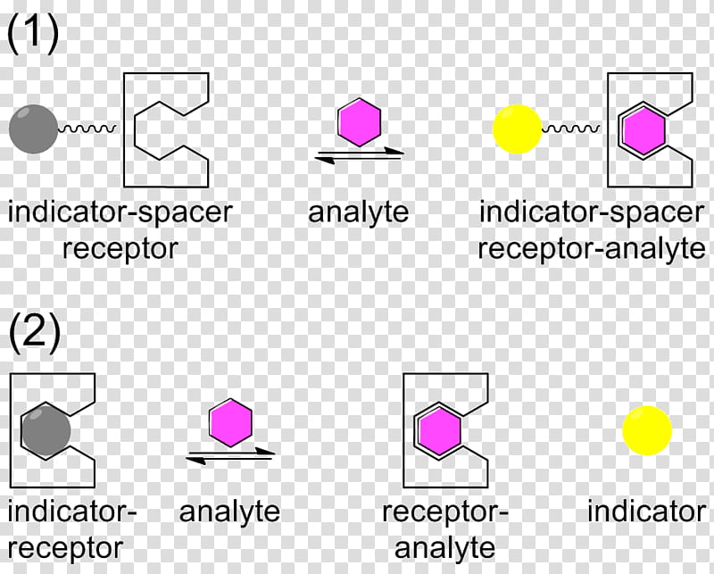 Circle Design, Binding Selectivity, Receptor, Ligand, Pharmacology, Especificidad, Drug, Assay transparent background PNG clipart