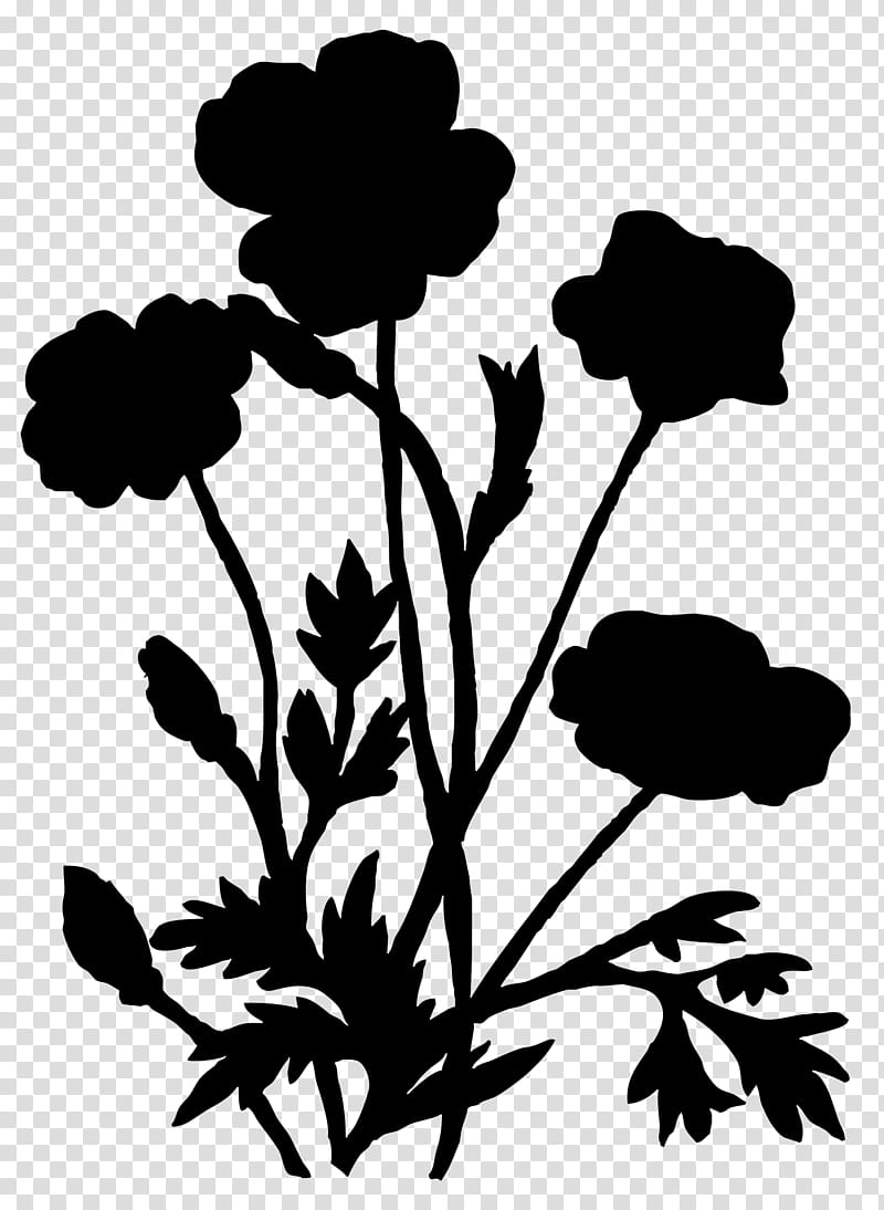 Floral Flower, Floral Design, Poppy, Flowering Plant, Silhouette, Plants, Petal, Leaf transparent background PNG clipart