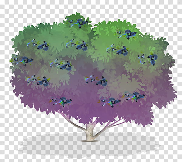 Trees, Blueberry, Shrub, Berries, Plants, Drawing, Bog Bilberry, Vaccinium Virgatum transparent background PNG clipart