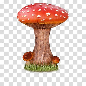 Mushroom3, brown mushroom transparent background PNG clipart thumbnail