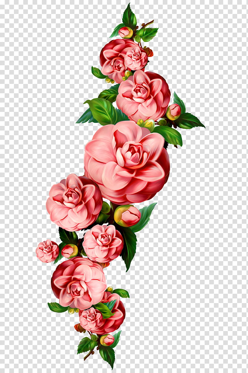 FLORES VINTAGE , pink petaled flower with green leaf illustration transparent background PNG clipart