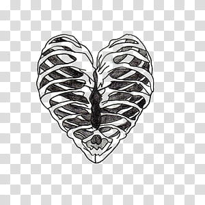 BLACK RESOURCES, human heart illustration transparent background PNG clipart