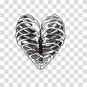 human heart clip art black and white