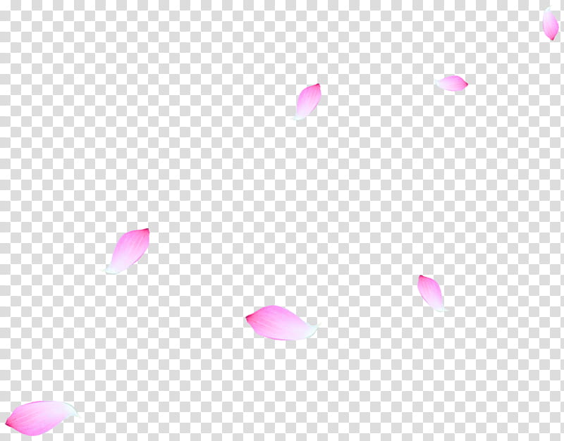 Pink Flower, Petal, Internet, Circle, Leaf, Beauty, Purple, Magenta transparent background PNG clipart