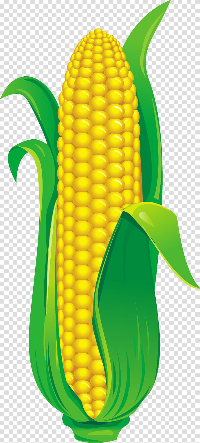Corn, Corn On The Cob, Corncob, Drawing, Yellow, Maize, Food, Sweet Corn transparent background PNG clipart