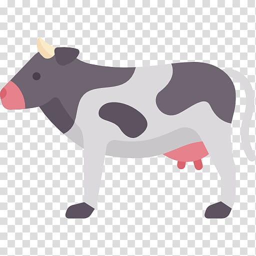 Cow, Educational Flash Cards, Vocabulary, Learning, University, Education
, History, Spanish Language transparent background PNG clipart