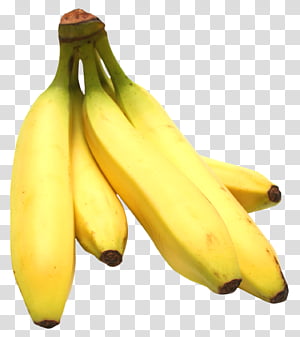 Many bananas PNG picture transparent image download, size: 2517x1767px