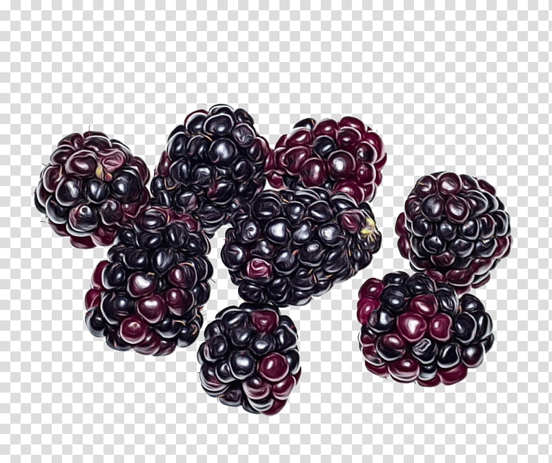 Fruit, Boysenberry, Inismsci Saudi Acapls, Berries, Bead, Purple, Blackberry, Blackberry Limited transparent background PNG clipart