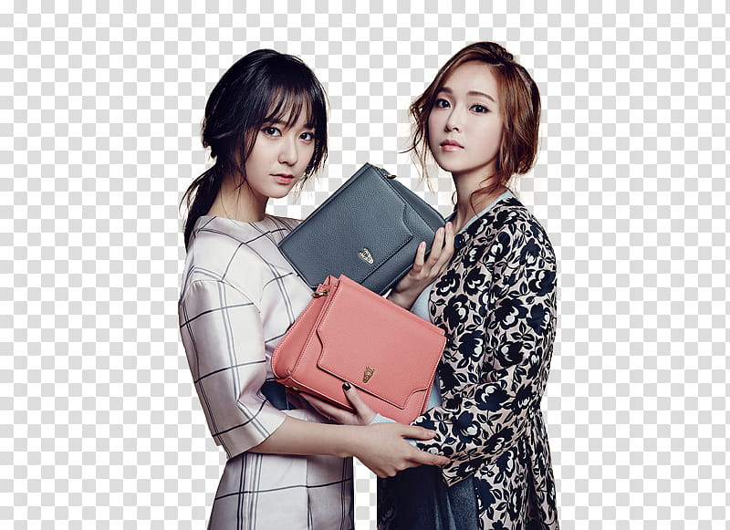 Krystal and Jessica transparent background PNG clipart