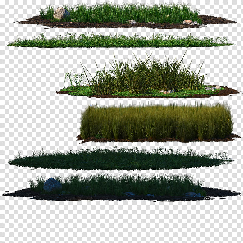 Shimizu Style Stage, green grass transparent background PNG clipart