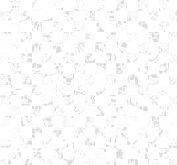 Seamless Lace PNG Transparent Images Free Download, Vector Files