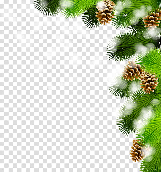 Navidad, green tree with pinecones illustration transparent background PNG clipart