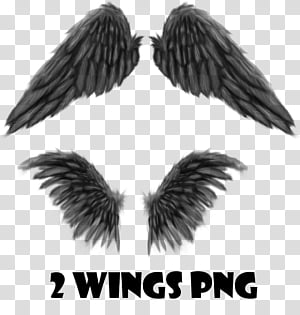 Wings transparent background PNG clipart thumbnail