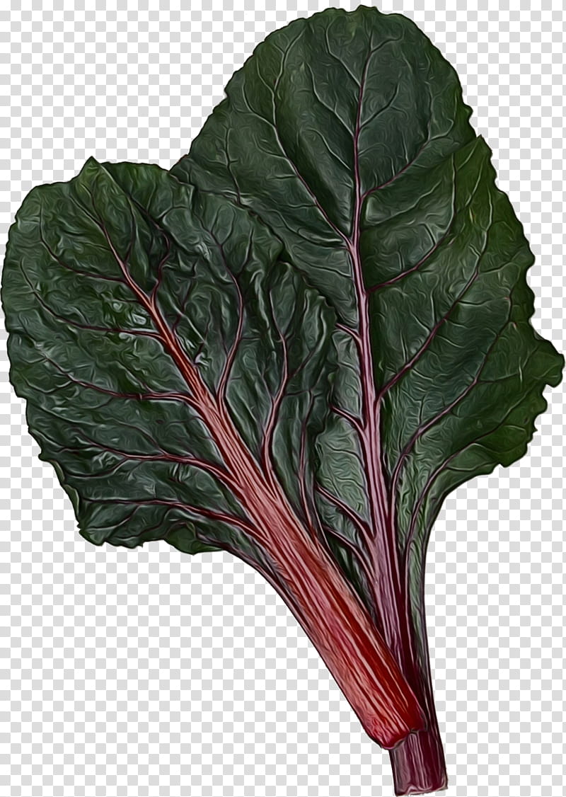 Vegetables, Chard, Spring Greens, Collard, Leaf, Leaf Vegetable, Beet Greens, Collard Greens transparent background PNG clipart