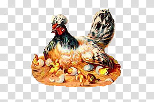 mochizuki s oldbird, hen and chicks illustration transparent background PNG clipart thumbnail