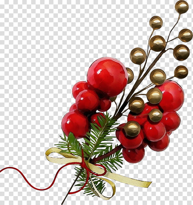 Christmas decoration, Watercolor, Paint, Wet Ink, Plant, Flower, Tree, Holly transparent background PNG clipart