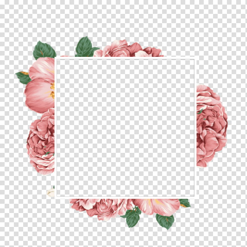 Pink Flower, Pretoria, grapher, Zazzle, Albums, Film, Blog, Birthday transparent background PNG clipart