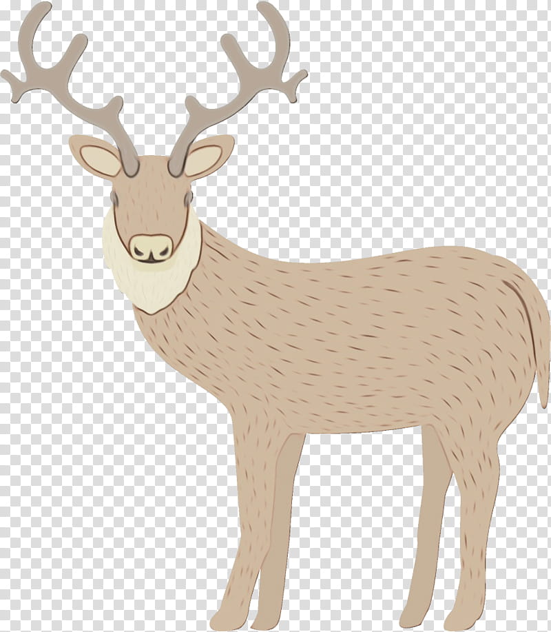 Reindeer, Watercolor, Paint, Wet Ink, Elk, Antler, Wildlife, Animal Figure transparent background PNG clipart