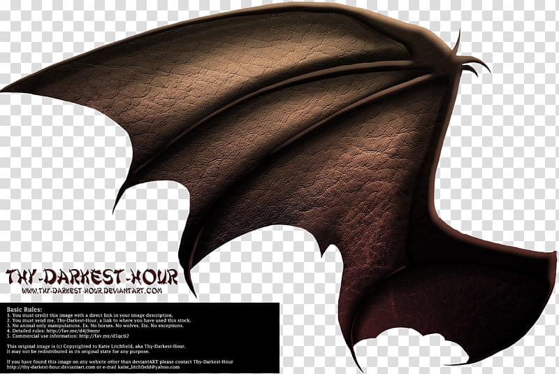 Dragon Wings , brown feather illustration with text overlay transparent background PNG clipart