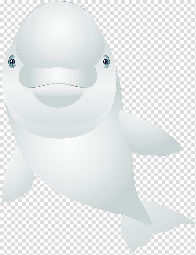 dolphin cetacea beluga whale transparent background PNG clipart
