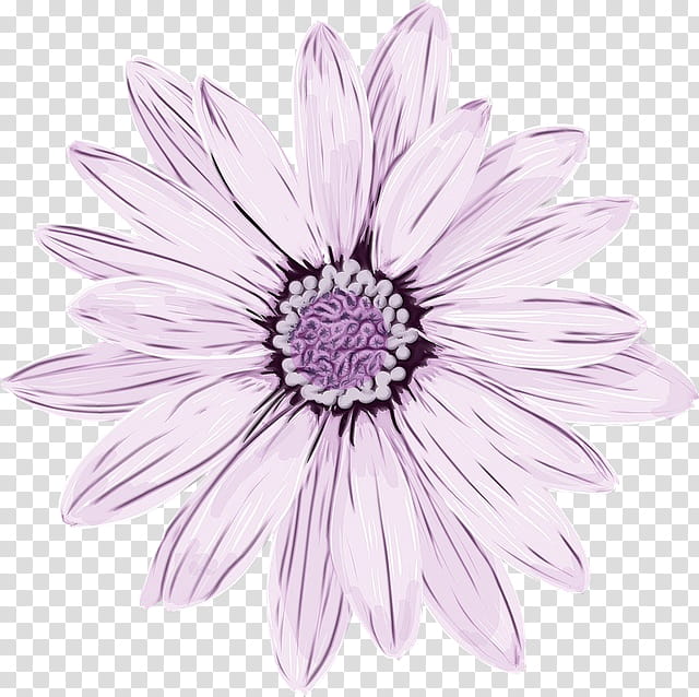 Flowers, Purple, Violet, Light, Lilac, Pastel, Pink, Cut Flowers transparent background PNG clipart