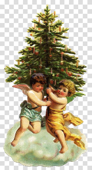 Christmas tree, Colorado Spruce, Oregon Pine, Fir, Conifer, Christmas Decoration, Christmas 
, Christmas Ornament transparent background PNG clipart thumbnail