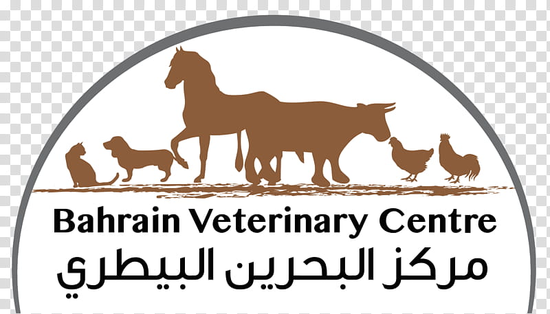 Dog And Cat, Horse, Bahrain Veterinary Centre, Veterinary Medicine, Veterinarian, Pet, Animal, Pet Shop transparent background PNG clipart