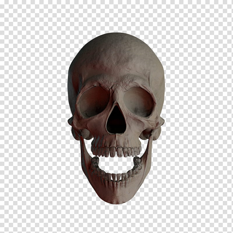 Skull , human skull transparent background PNG clipart
