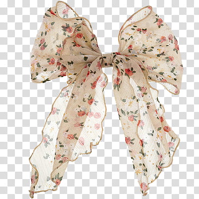 , brown and red floral gift bow transparent background PNG clipart