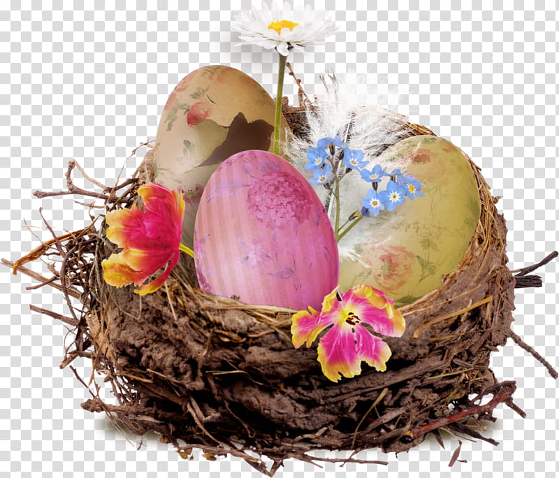 Easter Egg, Nest, Bird Nest, Edible Birds Nest, Easter
, Clutch, Plant, Flower transparent background PNG clipart