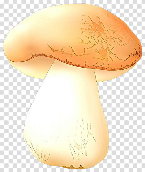 mushroom agaricus agaricaceae agaricomycetes champignon mushroom, Cartoon, Fungus, Lamp, Edible Mushroom transparent background PNG clipart