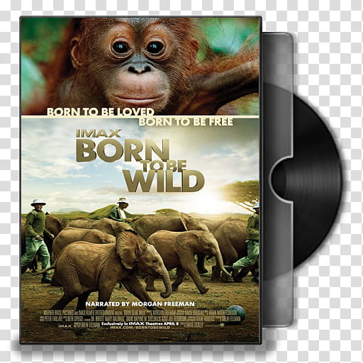 IMAX Born To Be Wild Folder Icon, IMAX Born To Be Wild transparent background PNG clipart