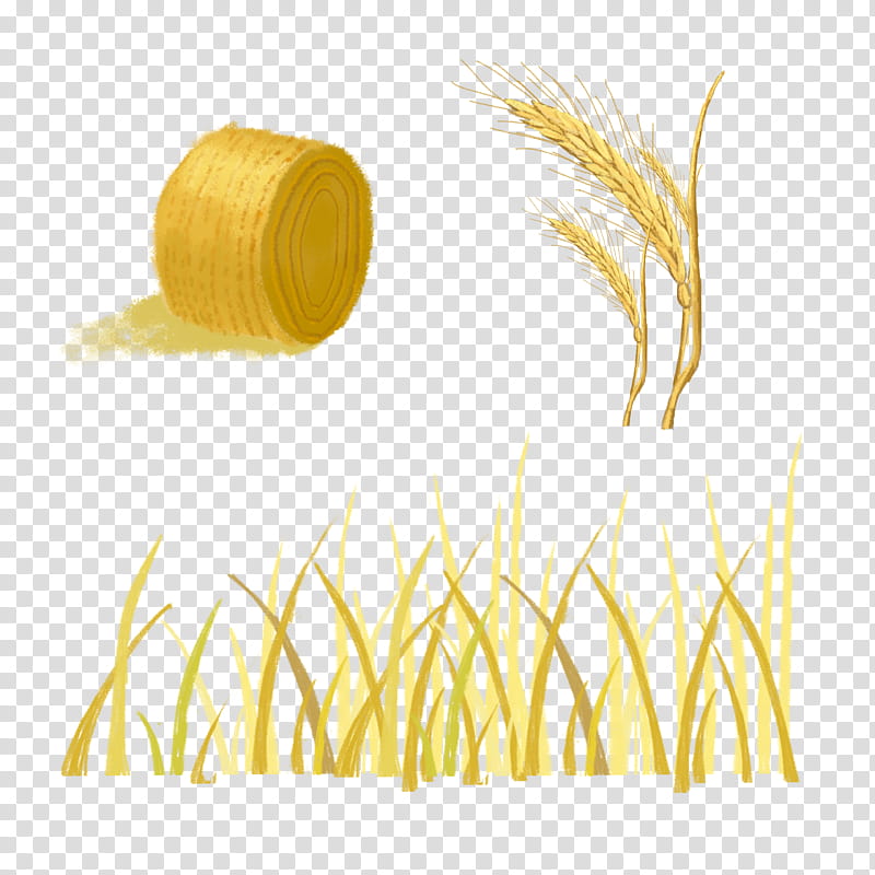 yellow grass transparent background PNG clipart