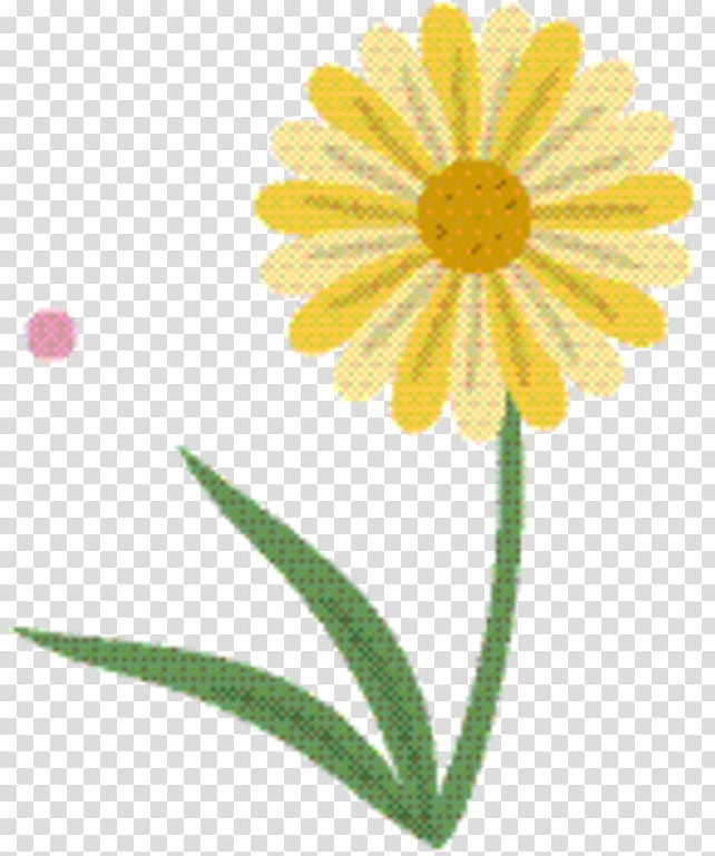 Marigold Flower, Oxeye Daisy, Daisy Family, Transvaal Daisy, Marguerite Daisy, Yellow, Petal, Sunflower transparent background PNG clipart