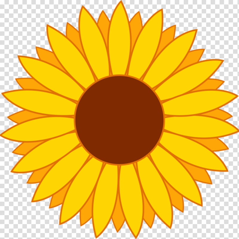 Common Sunflower Line Art Silhouette