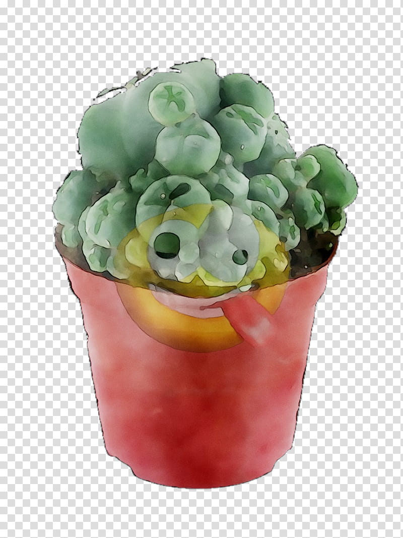 Cactus, Fruit, Flowerpot, Plant, Food transparent background PNG clipart